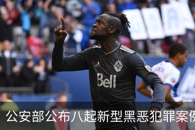 公安部公布八起新型黑恶犯罪案例，涉及网络敲诈等行为
